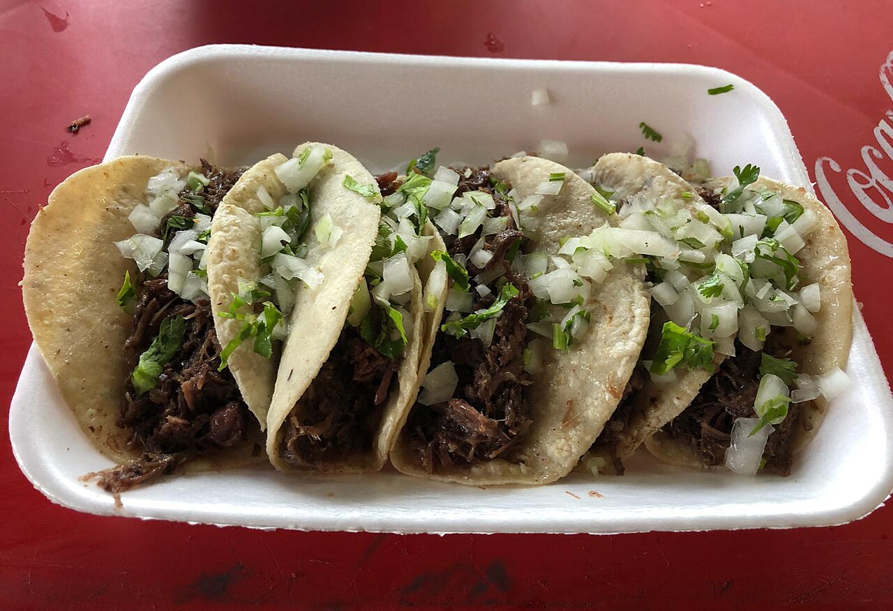 Shredded barbacoa beef tacos with cilantro and onion